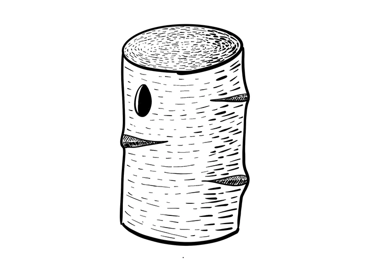 illustration écorce dessin au trait