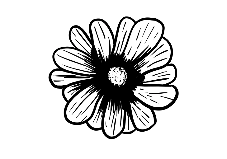illustration fleur dessin au trait