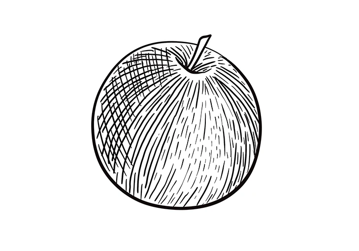 illustration pomme dessin au trait